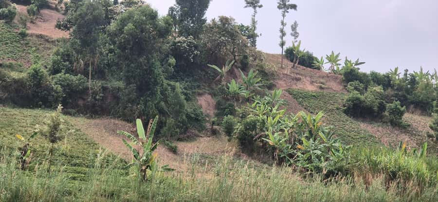 BIGOGWE : Rock Climbing and Cow Milking & Corn Roasting Tour - Five details that shape the experience