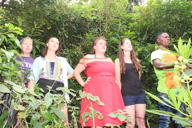 Boat cruise and adventures -Karongi - Key things to know before you go