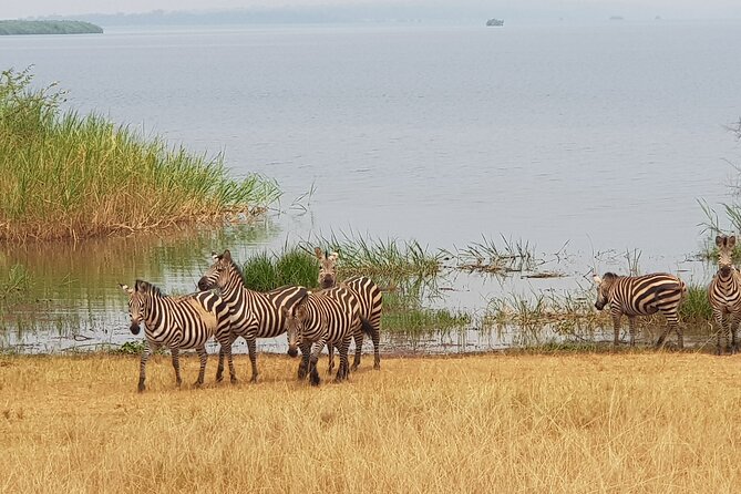 Cool Share Day Akagera Game Drive, Daily Depart, Boat Ride, Lunch - The one-hour Lake Ihema boat ride