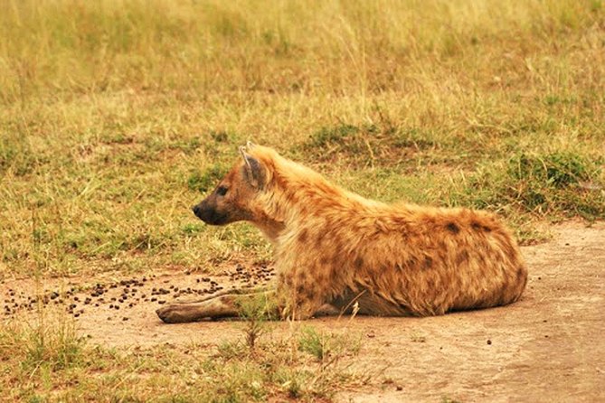 Day Trip Safari - Akagera National Park with Optional Lake Ihema Boat Safari - The optional Lake Ihema boat safari