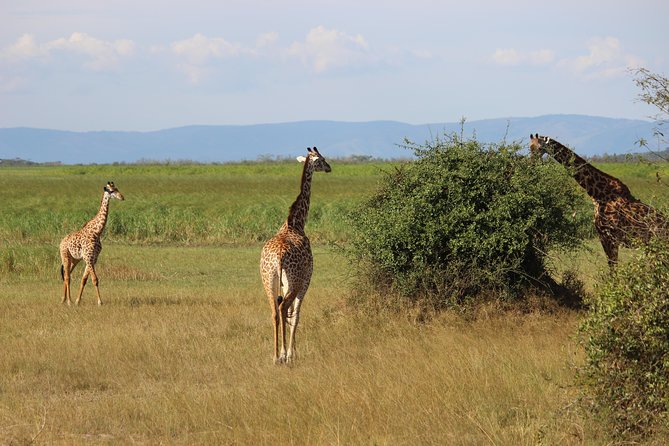 Discover the Beauty of Rwanda in 12Days - What makes this Rwanda trip different