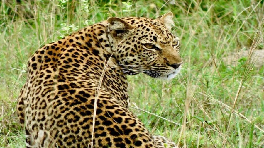 From Kigali: 2-Day Akagera National Park Safari with Boat - The Drive From Kigali to Eastern Rwanda