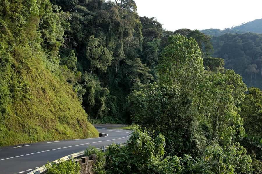 From Kigali: 2-Day Nyungwe National Park with Chimps Tour - From Kigali through Rwanda’s terraced hills