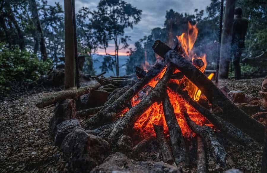 From Kigali: 2 days chimpanzee trekking and canopy walk - Key points to know before booking
