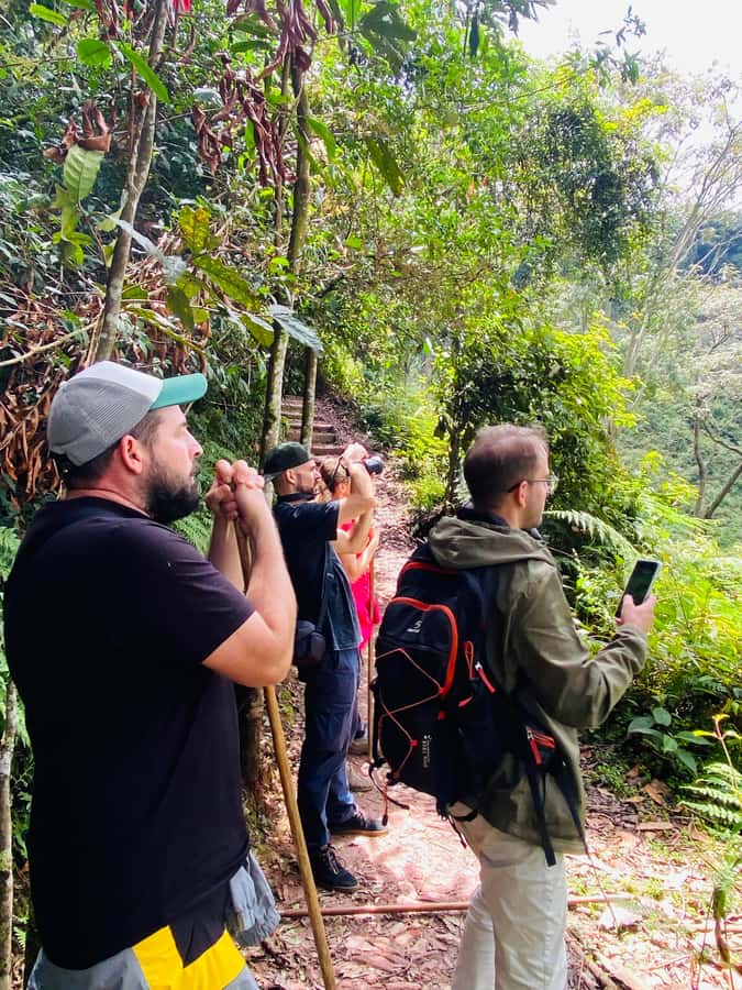 From Kigali: 2 days chimpanzee trekking and canopy walk - Why Nyungwe is worth the trip from Kigali