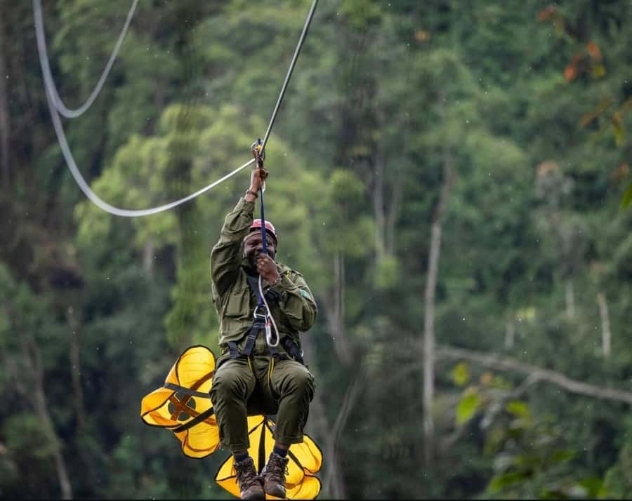 From Kigali: 2 days chimpanzee trekking and canopy walk - The 70-meter canopy walk above Nyungwe