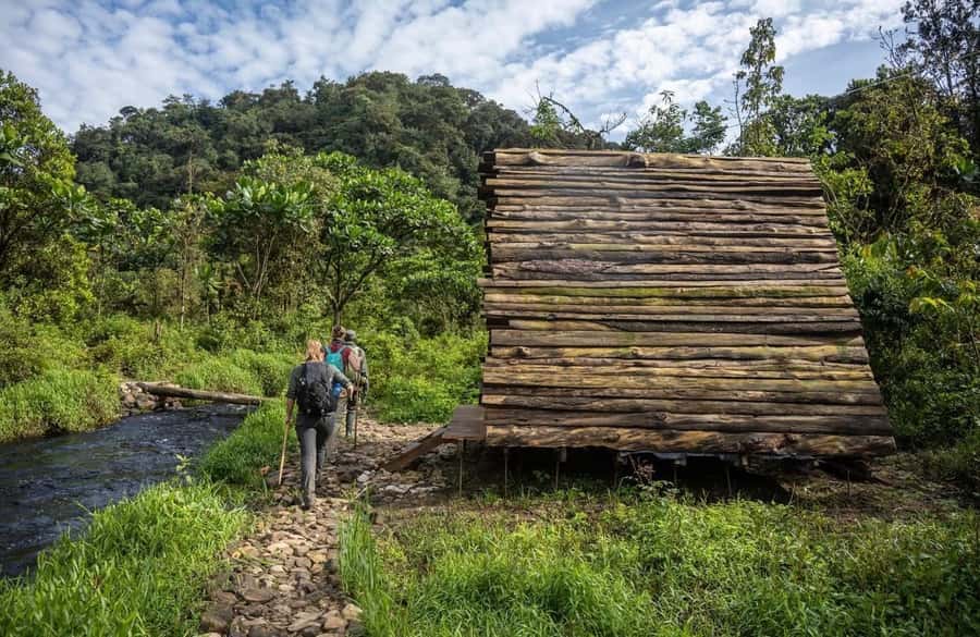 From Kigali: 2 days chimpanzee trekking and canopy walk - The scenic road from Kigali to western Rwanda