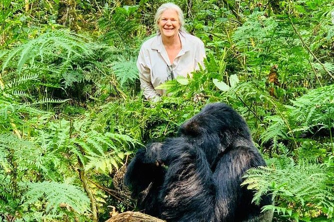 From Kigali: 3 Days Gorillas and golden monkeys trek Adventure - Is the $1,150 price good value?