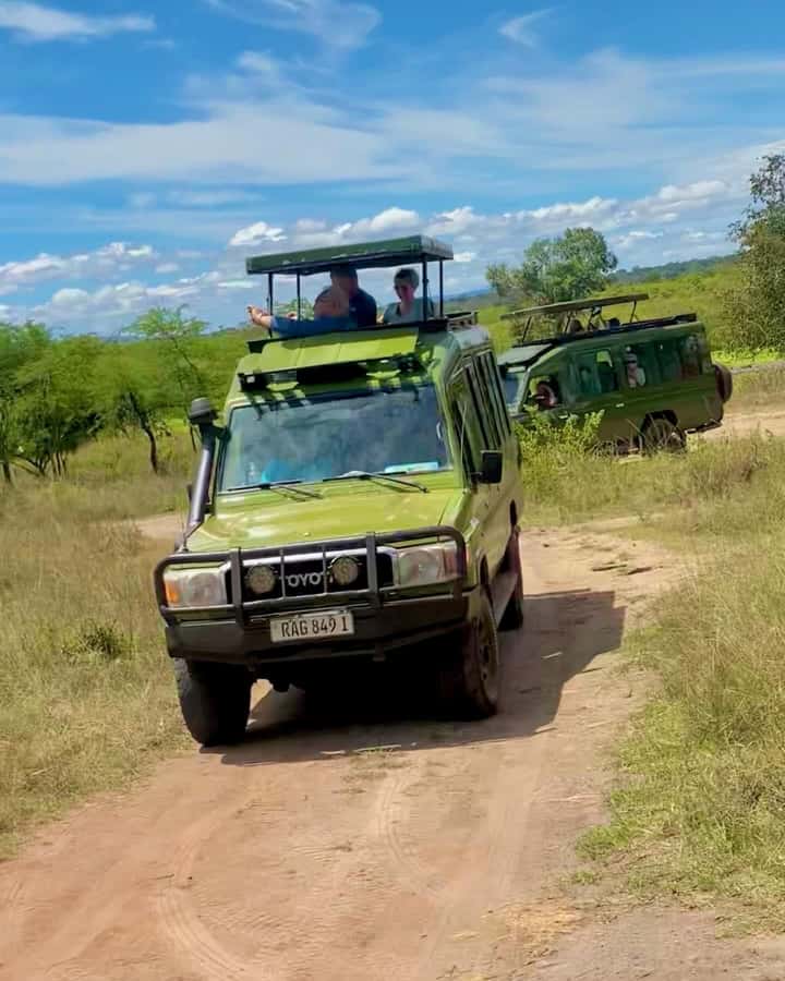 From Kigali: Akagera National Park Safari game drive - Key points to know before you book