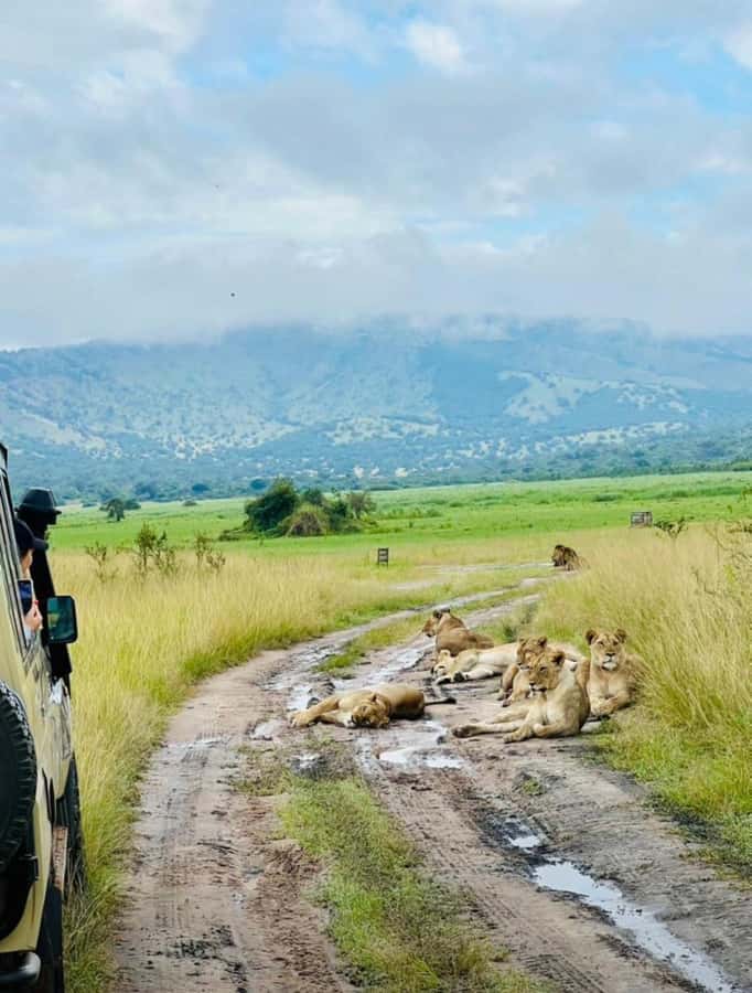 From Kigali: Akagera National Park Safari game drive - Lake Ihema from the water