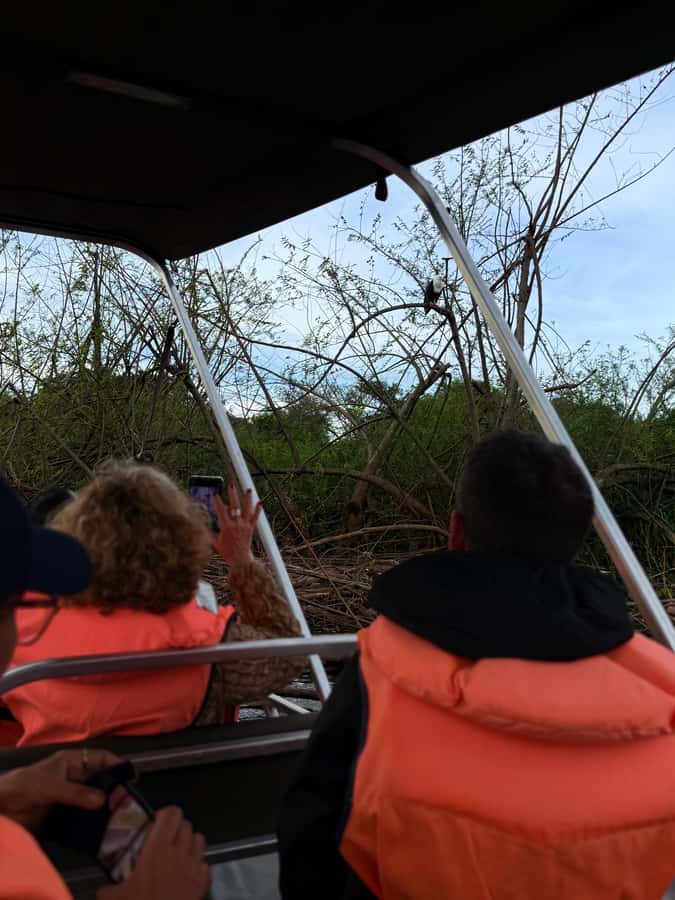 From Kigali: Akagera National Park Safari game drive - Who should book this safari?