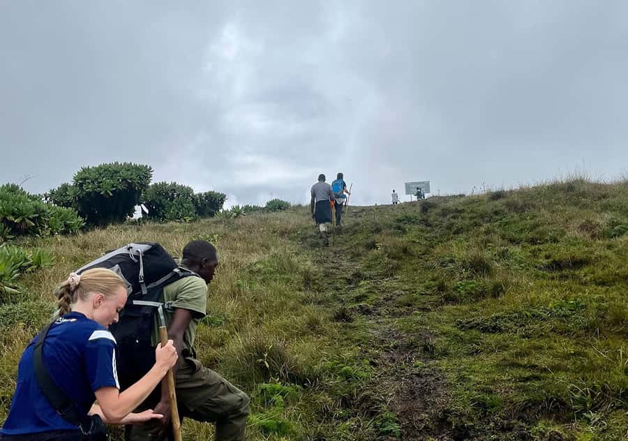 From Kigali: Bisoke Summit Trek, Crater Lake 1 Day Safari - The Two-Hour Descent Back to the Vehicle
