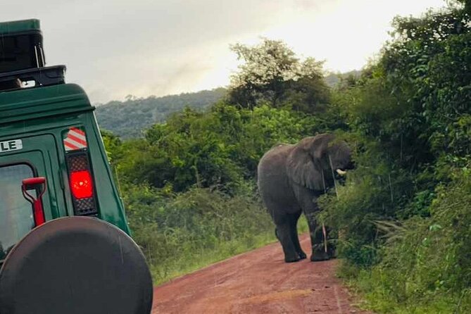 Full Day Akagera National Park Game Drive and Boat Safari - Why this Akagera day trip takes so long