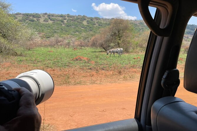 Full Day Akagera National Park Game Drive and Boat Safari - What the picnic lunch details really mean
