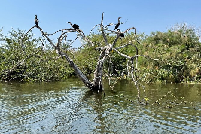 Full Day Akagera National Park Game Drive and Boat Safari - Who will enjoy this private safari most?