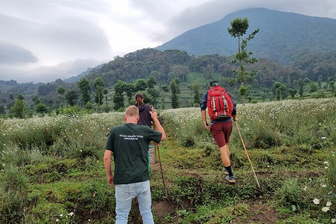 Full day Mt. Bisoke hike - What makes this Rwanda hike worth considering