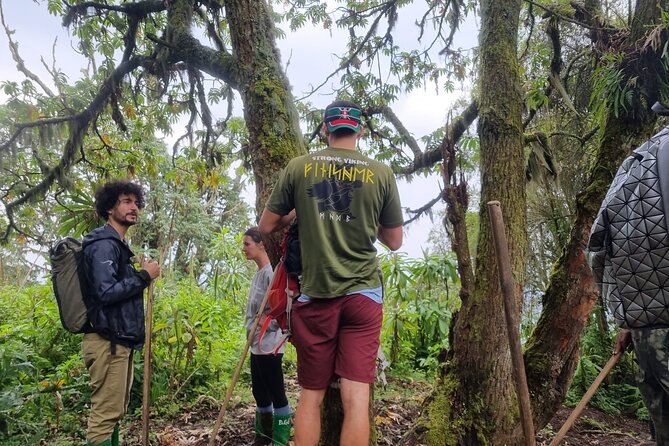 Full day Mt. Bisoke hike - What the private format changes