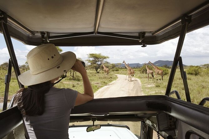 Full-Day Private Akagera National Park Tour with Lunch - Five hours in southern Akagera