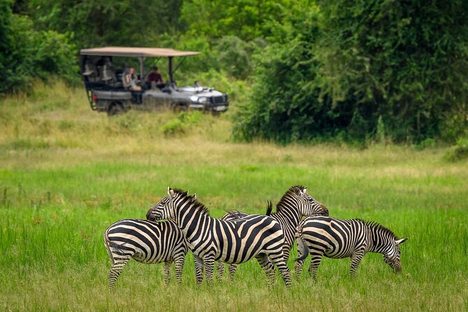 Full-Day Private Akagera National Park Tour with Lunch - A 5:00 am departure from Kigali