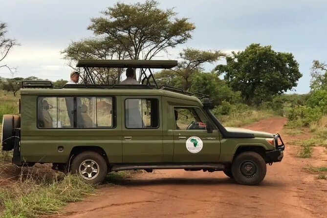 Full-Day Private Safari of Akagera National Park with Lunch - Why Akagera makes a strong one-day safari