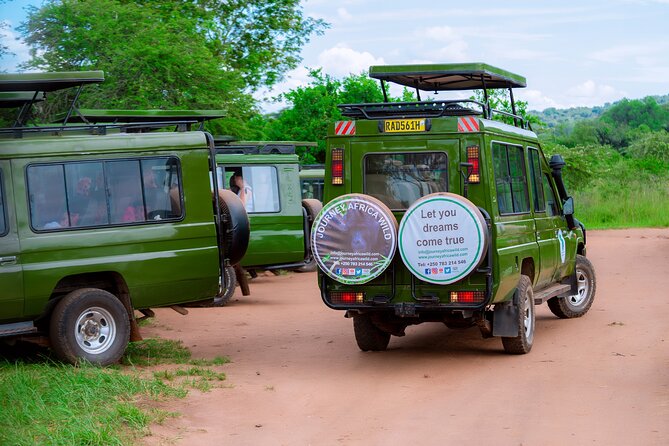 Full-Day Private Safari of Akagera National Park with Lunch - The animals you might see
