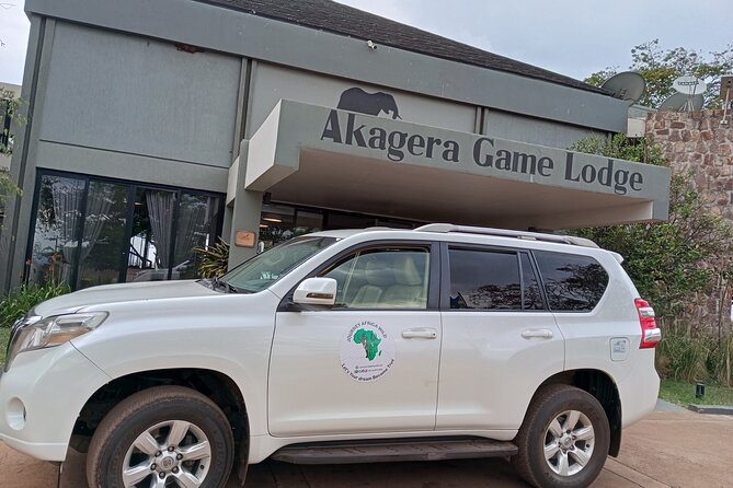 Full-Day Private Safari of Akagera National Park with Lunch - The early start from Kigali