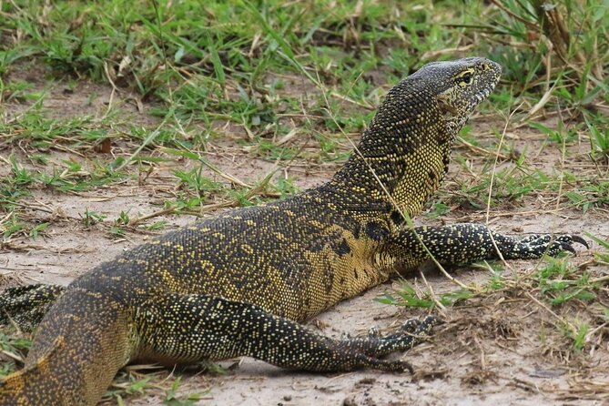 Full Day Shared Akagera Safari Tour with Lunch and Coffee - Who should book this Akagera day trip?