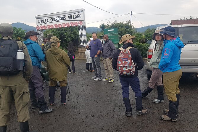 Gorilla Trekking Adventure - A Day trip (Only transfer) - Lunch, cultural context, and the return