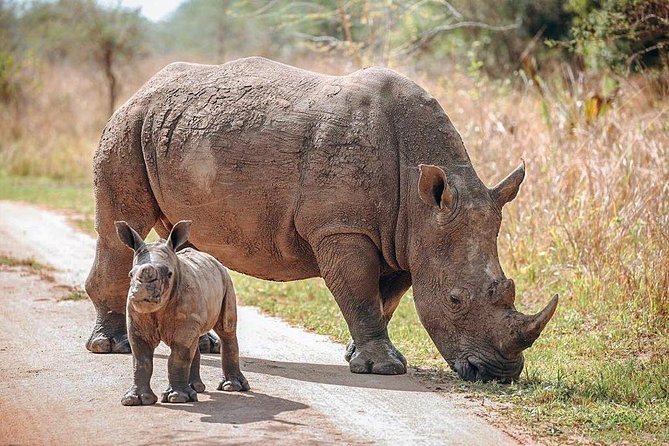 Gorilla trekking &wildlife adventure in Rwanda - Nyungwe brings a second forest challenge