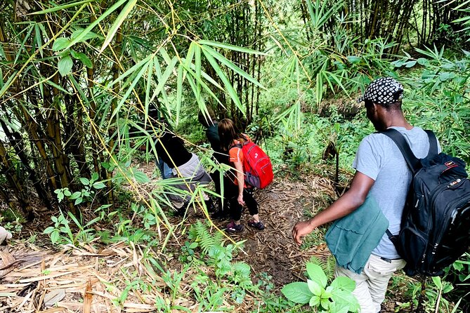 Hiking Binana Mountain & Waterfalls in Rwanda - Key points before you book