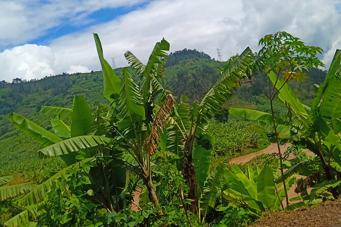 Hiking Binana Mountain & Waterfalls in Rwanda - The 9 to 11 morning walk through the valley