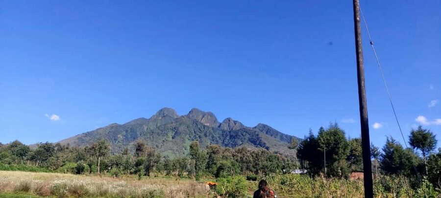 Incredible gorilla Trekking experience in Rwanda - Practical preparation for the forest walk