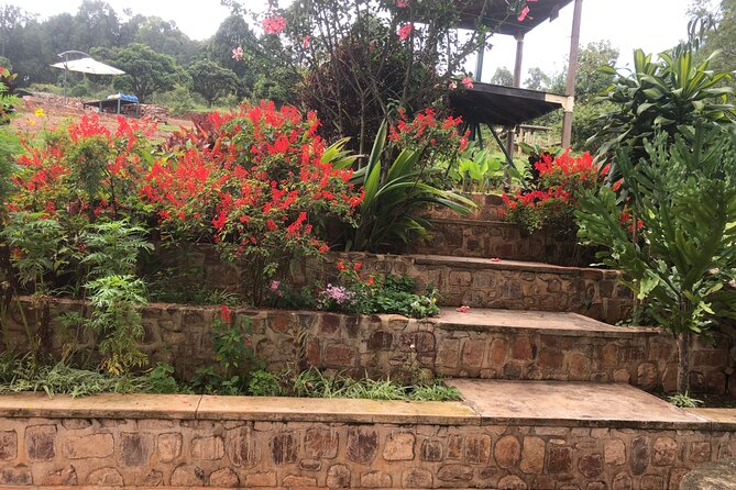 Kigali City Tour, Genocide Memorial Visit, Walking Tour in Kigali - Nyandungu Eco-Park and Mount Kigali