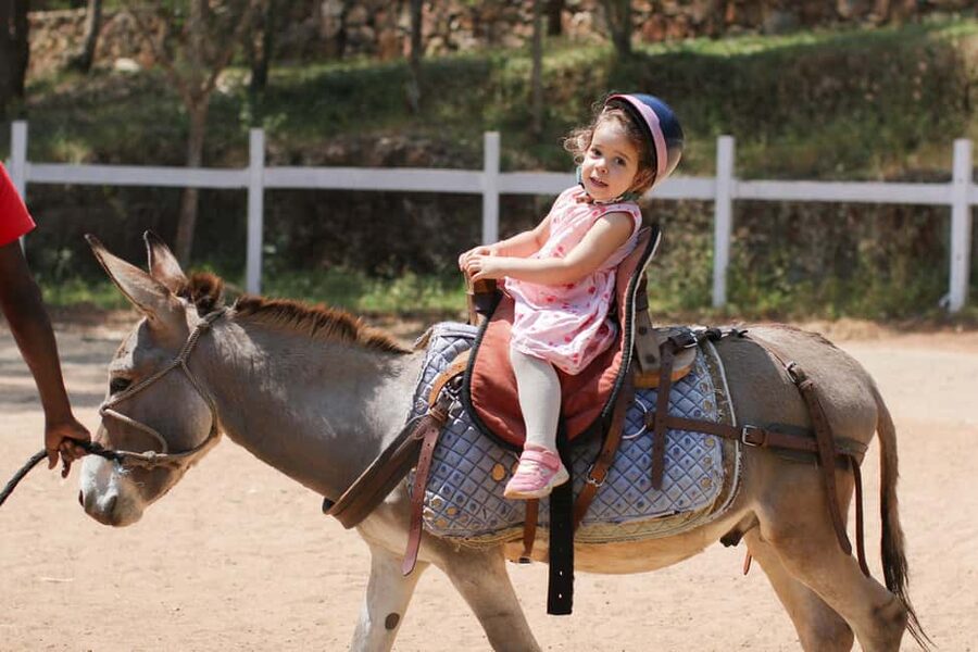 Kigali: Donkey Rides for Kids Experience - Key things to know before you book