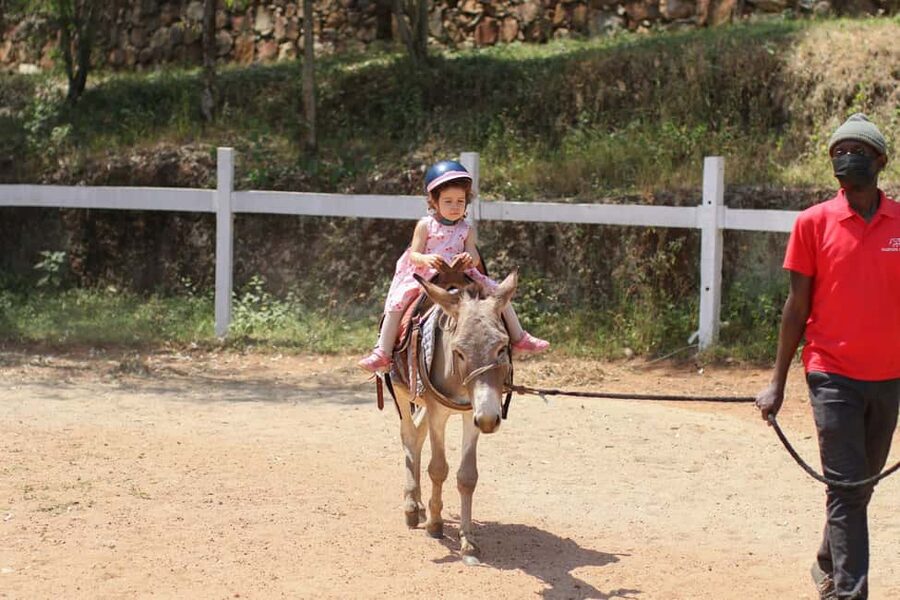Kigali: Donkey Rides for Kids Experience - Meeting the donkeys and getting settled