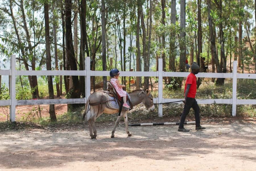 Kigali: Donkey Rides for Kids Experience - Photo time with friendly donkeys
