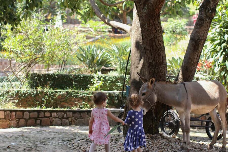 Kigali: Donkey Rides for Kids Experience - Who will enjoy this most