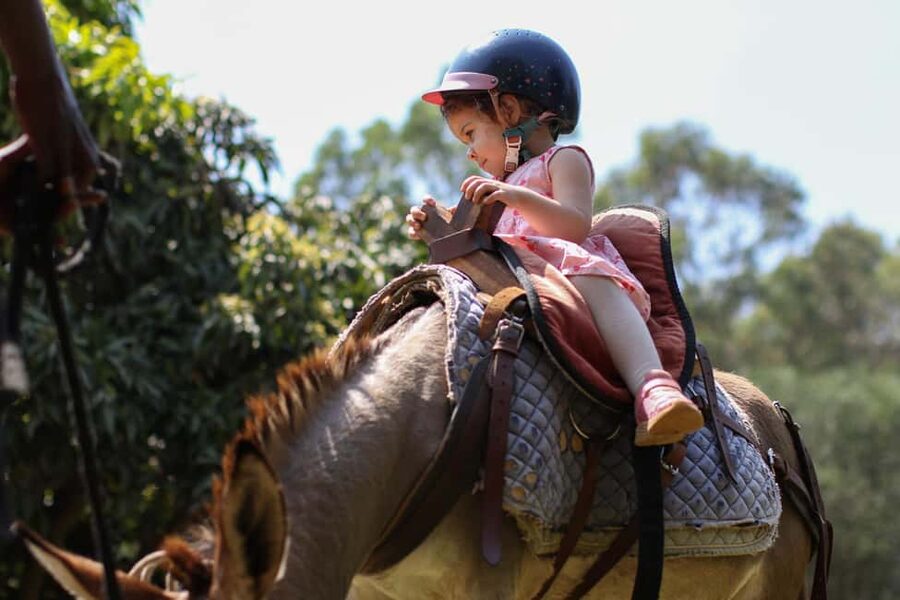 Kigali: Donkey Rides for Kids Experience - The donkey ride itself