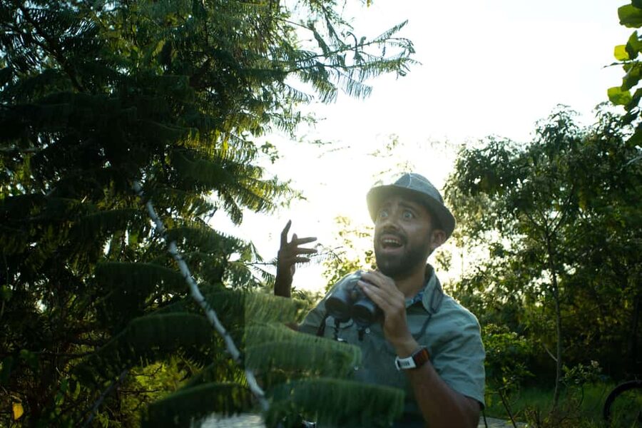 Kigali Eco Park Bird Watching Experience - Why Nyandungu Eco Park works for birdwatching