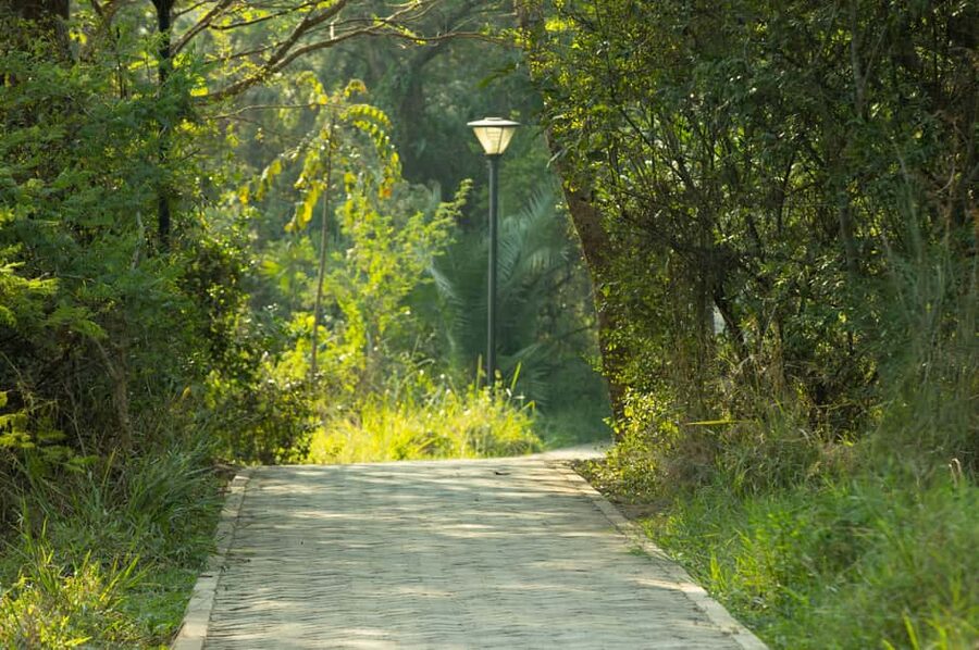 Kigali Eco Park Bird Watching Experience - Price, equipment, and the value of the walk