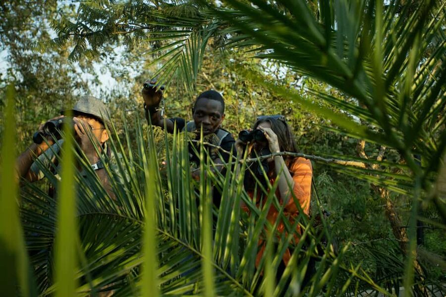Kigali Eco Park Bird Watching Experience - Your four-hour route through forest and savannah