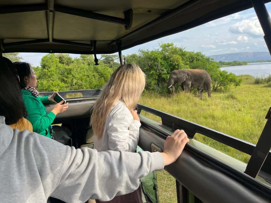 Kigali: Full-Day Akagera Safari + Optional Boat Ride - Why Akagera makes sense from Kigali
