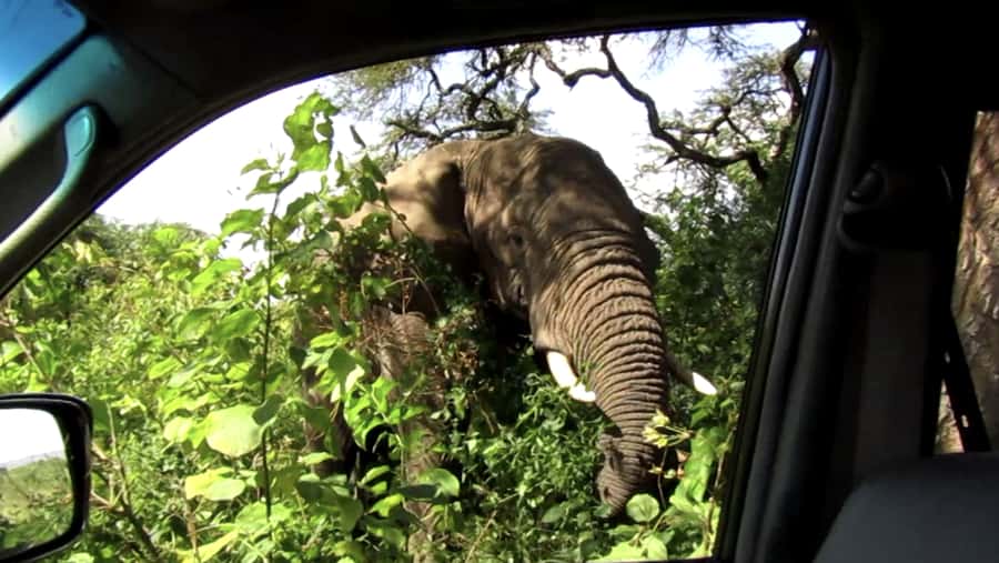 Kigali: Full-Day Akagera Safari + Optional Boat Ride - What the $200 price really includes