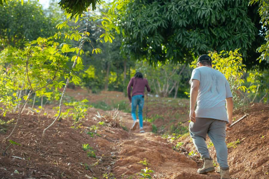 Kigali: Gatsata Village Storytelling Walk to Mount Jali - Reaching the Mount Jali summit