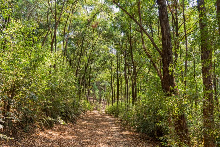 Kigali: Mount Jali Hiking and Village Walk - Who should book this Mount Jali outing?