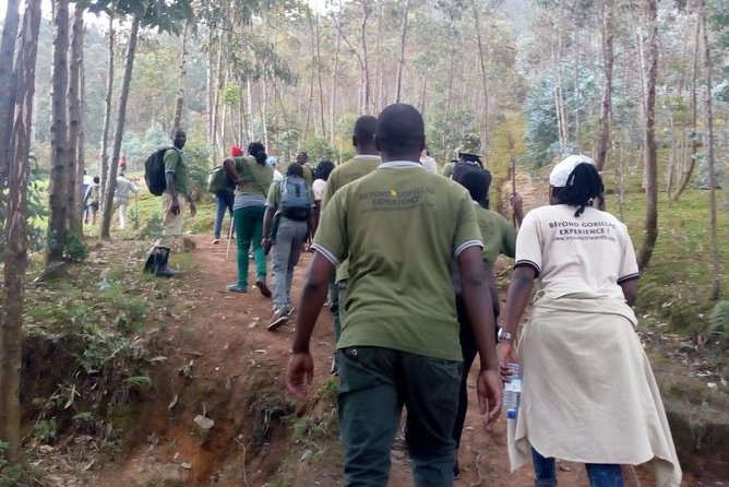 Local hills hiking - Village paths and the primary school visit