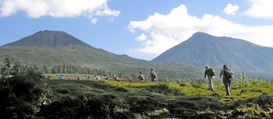 Mount Bisoke Hike in Volcanoes National Park - Key points before you book