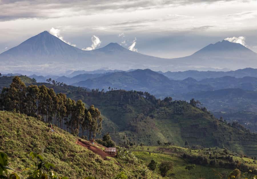 Mount Bisoke Hike in Volcanoes National Park - The crater lake at 3,711 meters