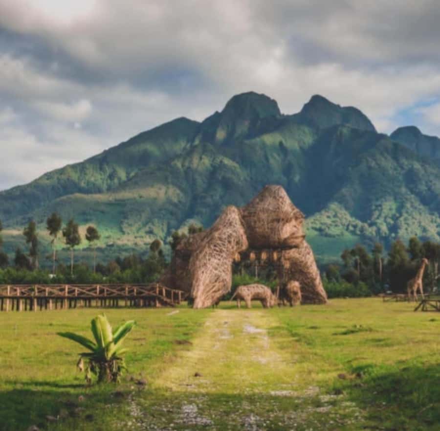 Mount Bisoke Hike in Volcanoes National Park - What the $350 price really buys you