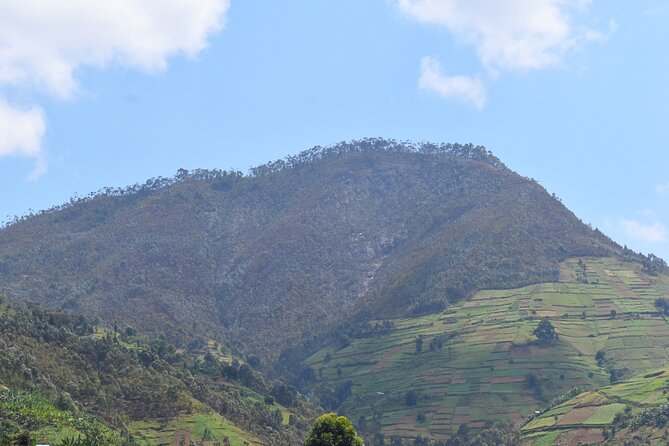 Mount Kabuye Hiking - The climb takes about two and a half hours